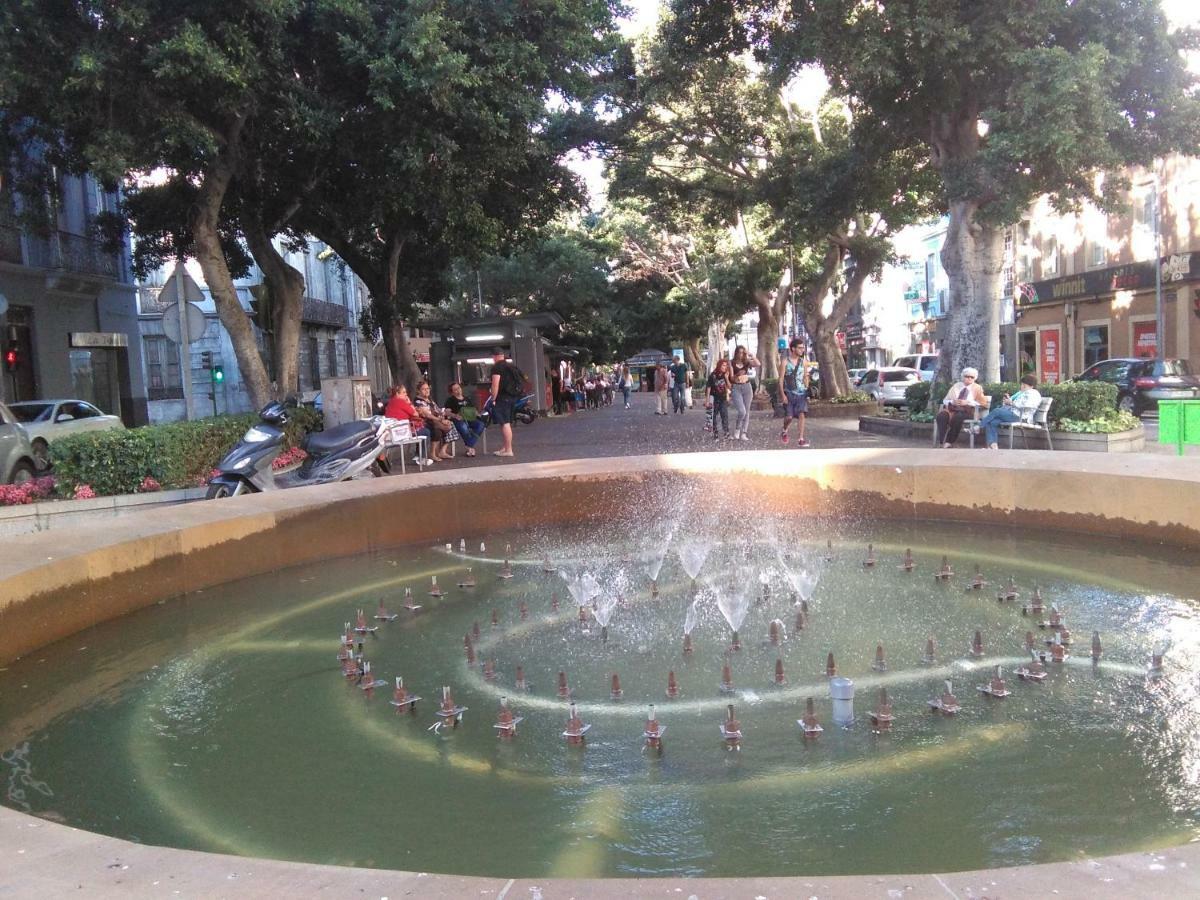 Lalas Ramblas Estudio Cruz Tenerife